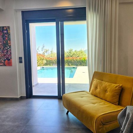 Nemesis Luxury Villas Apolpaina エクステリア 写真