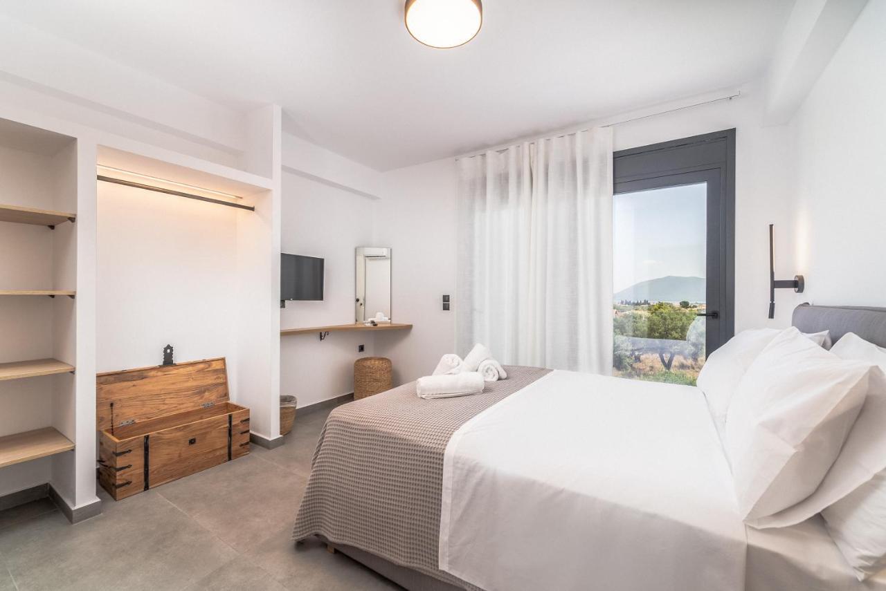 Nemesis Luxury Villas Apolpaina エクステリア 写真