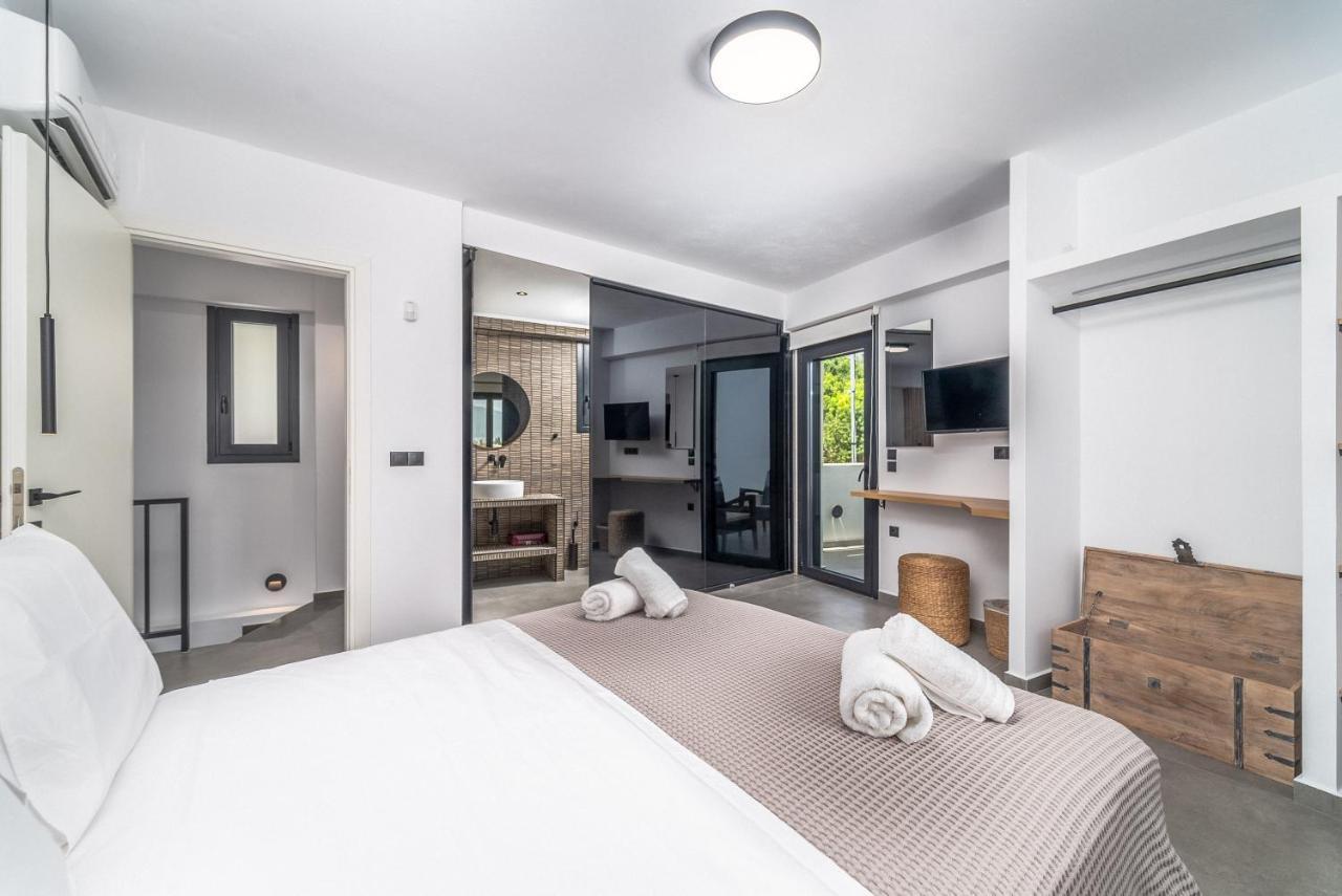 Nemesis Luxury Villas Apolpaina エクステリア 写真