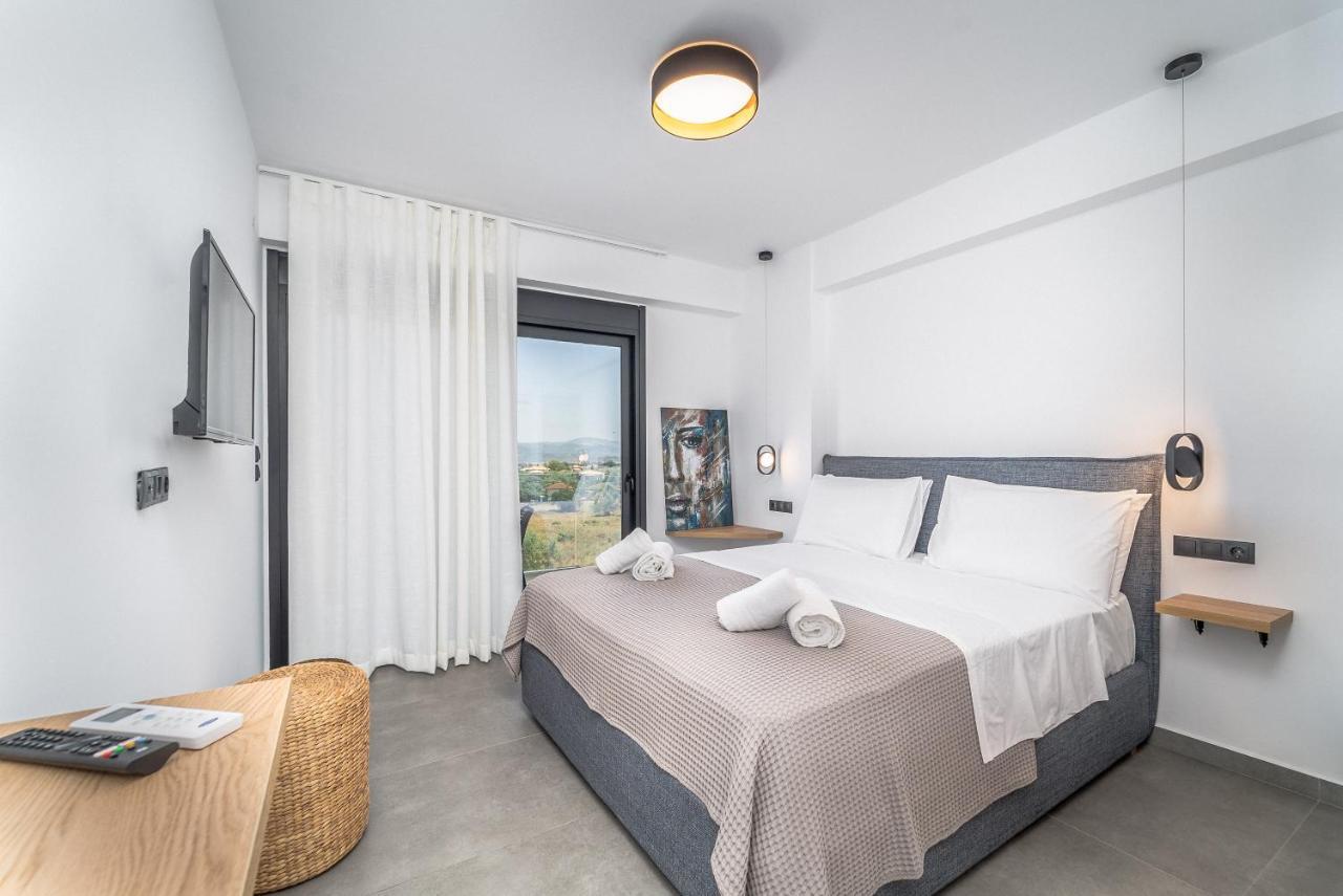Nemesis Luxury Villas Apolpaina エクステリア 写真
