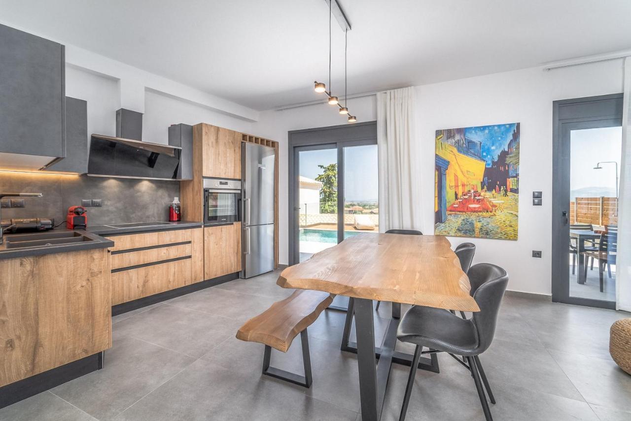 Nemesis Luxury Villas Apolpaina エクステリア 写真