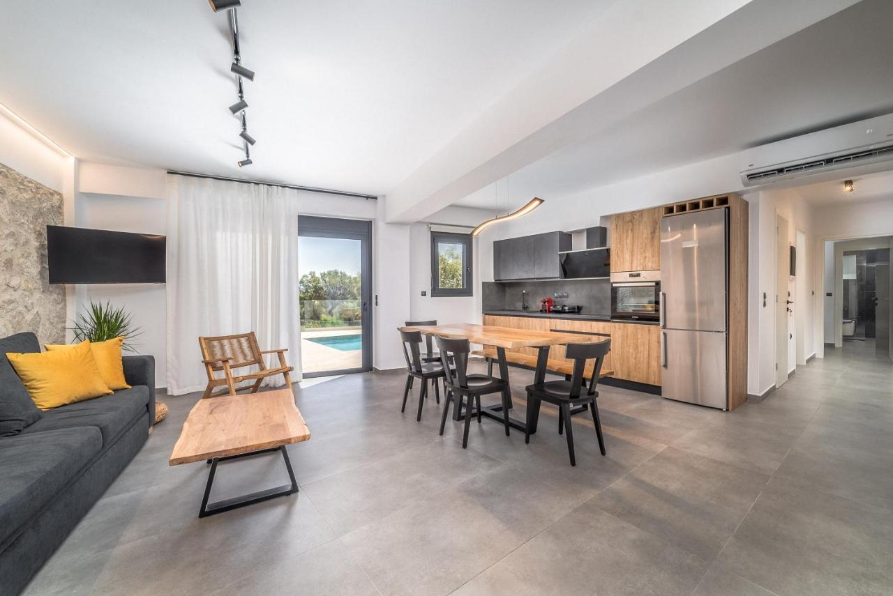 Nemesis Luxury Villas Apolpaina エクステリア 写真